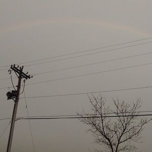 Meet your Posher, Priscilla